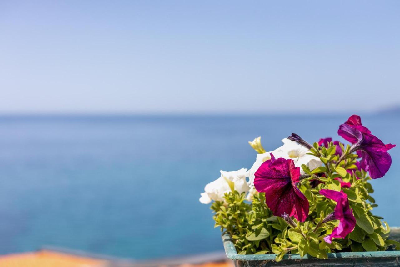 Villa La Terrazza sul Mare Magomadas Esterno foto